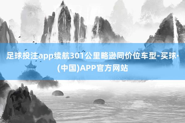 足球投注app续航301公里略逊同价位车型-买球·(中国)APP官方网站