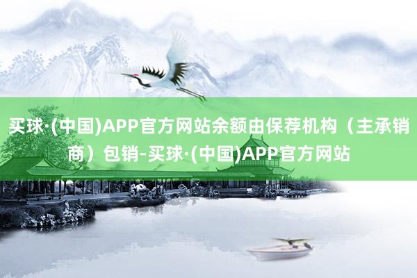 买球·(中国)APP官方网站余额由保荐机构(主承销商)包销-买球·(中国)APP官方网站