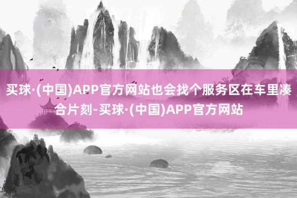 买球·(中国)APP官方网站也会找个服务区在车里凑合片刻-买球·(中国)APP官方网站
