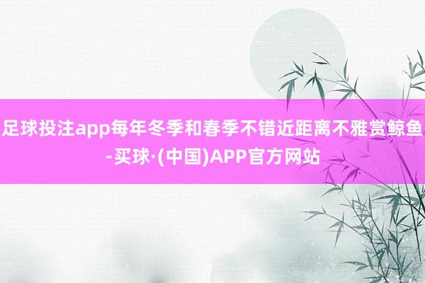 足球投注app每年冬季和春季不错近距离不雅赏鲸鱼-买球·(中国)APP官方网站