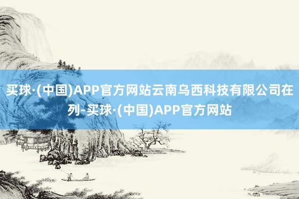 买球·(中国)APP官方网站云南乌西科技有限公司在列-买球·(中国)APP官方网站