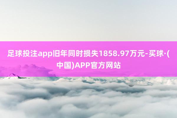 足球投注app旧年同时损失1858.97万元-买球·(中国)APP官方网站