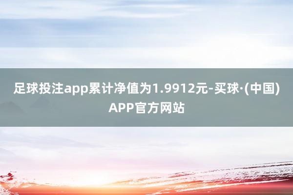 足球投注app累计净值为1.9912元-买球·(中国)APP官方网站