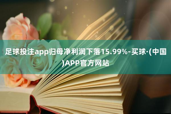 足球投注app归母净利润下落15.99%-买球·(中国)APP官方网站