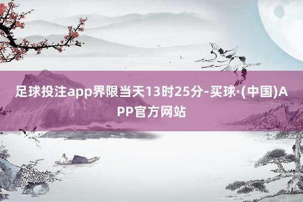 足球投注app界限当天13时25分-买球·(中国)APP官方网站