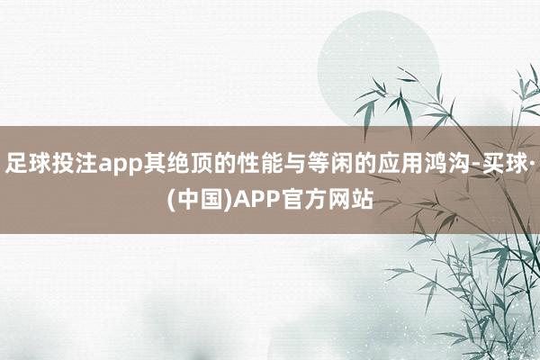 足球投注app其绝顶的性能与等闲的应用鸿沟-买球·(中国)APP官方网站