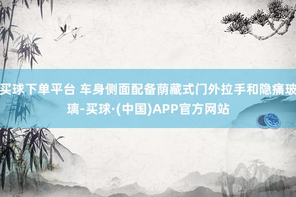 买球下单平台 车身侧面配备荫藏式门外拉手和隐痛玻璃-买球·(中国)APP官方网站