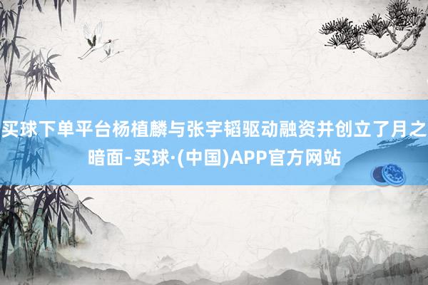买球下单平台杨植麟与张宇韬驱动融资并创立了月之暗面-买球·(中国)APP官方网站