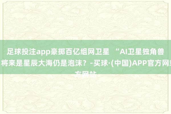 足球投注app豪掷百亿组网卫星  “AI卫星独角兽”将来是星辰大海仍是泡沫？-买球·(中国)APP官方网站