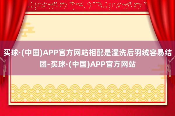 买球·(中国)APP官方网站相配是湿洗后羽绒容易结团-买球·(中国)APP官方网站