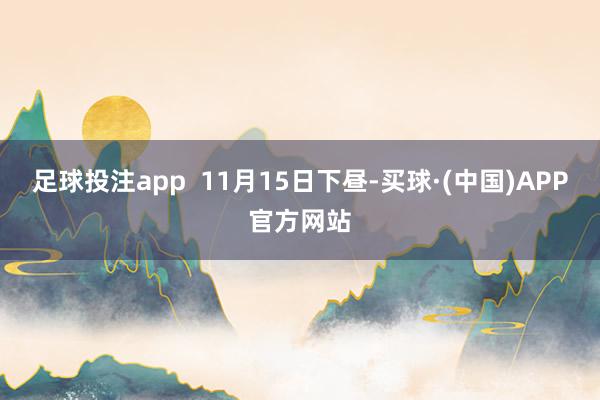 足球投注app  11月15日下昼-买球·(中国)APP官方网站