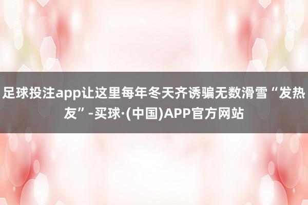 足球投注app让这里每年冬天齐诱骗无数滑雪“发热友”-买球·(中国)APP官方网站