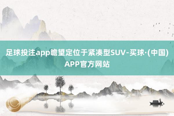 足球投注app瞻望定位于紧凑型SUV-买球·(中国)APP官方网站