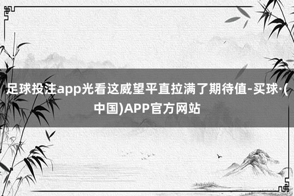 足球投注app光看这威望平直拉满了期待值-买球·(中国)APP官方网站