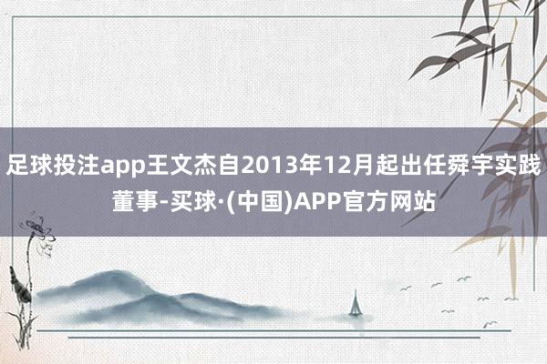 足球投注app王文杰自2013年12月起出任舜宇实践董事-买球·(中国)APP官方网站