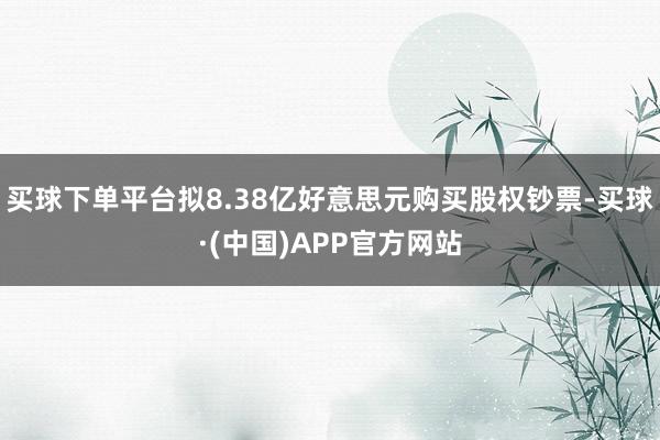 买球下单平台拟8.38亿好意思元购买股权钞票-买球·(中国)APP官方网站