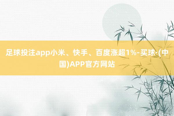 足球投注app小米、快手、百度涨超1%-买球·(中国)APP官方网站