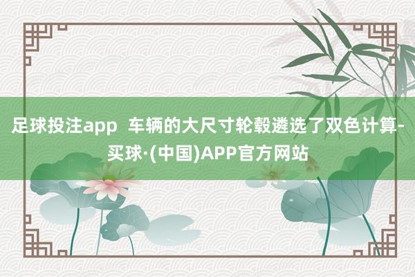 足球投注app  车辆的大尺寸轮毂遴选了双色计算-买球·(中国)APP官方网站