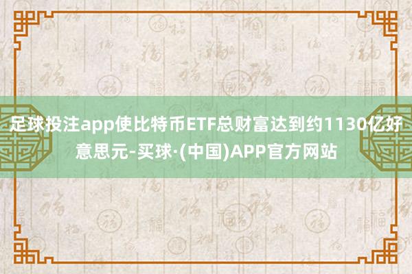 足球投注app使比特币ETF总财富达到约1130亿好意思元-买球·(中国)APP官方网站