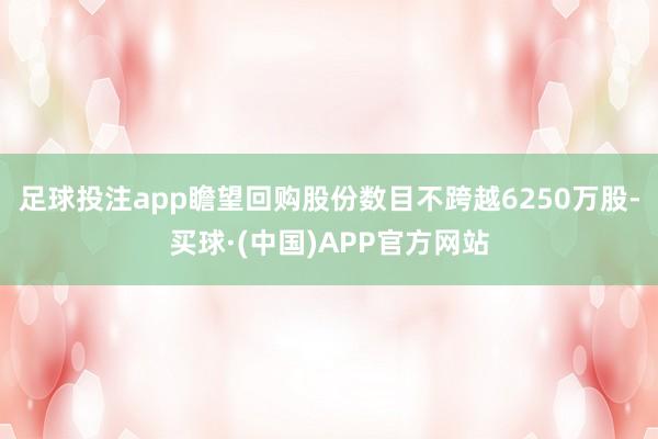 足球投注app瞻望回购股份数目不跨越6250万股-买球·(中国)APP官方网站