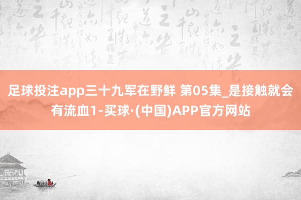 足球投注app三十九军在野鲜 第05集_是接触就会有流血1-买球·(中国)APP官方网站