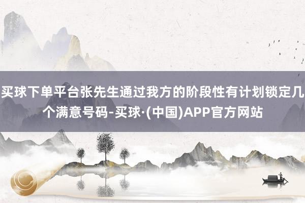 买球下单平台张先生通过我方的阶段性有计划锁定几个满意号码-买球·(中国)APP官方网站