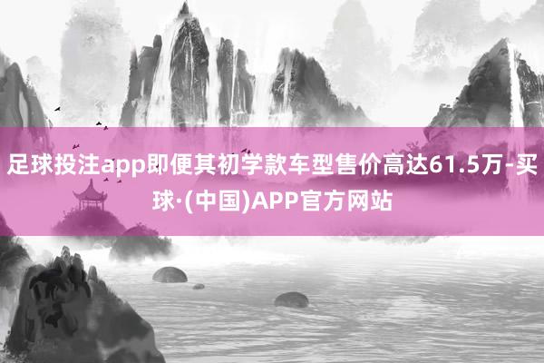 足球投注app即便其初学款车型售价高达61.5万-买球·(中国)APP官方网站
