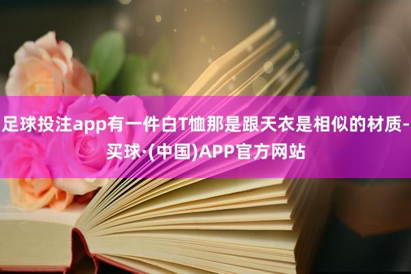 足球投注app有一件白T恤那是跟天衣是相似的材质-买球·(中国)APP官方网站