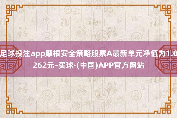 足球投注app摩根安全策略股票A最新单元净值为1.0262元-买球·(中国)APP官方网站
