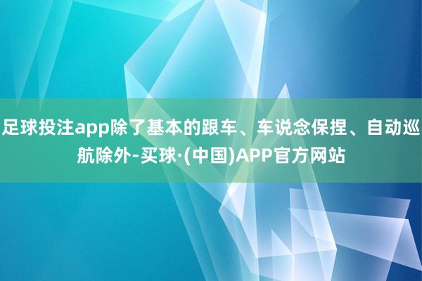 足球投注app除了基本的跟车、车说念保捏、自动巡航除外-买球·(中国)APP官方网站