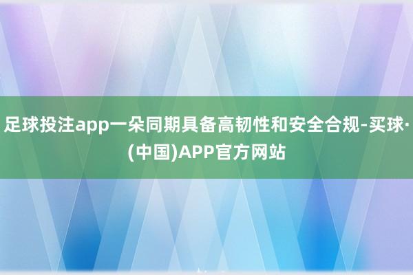 足球投注app一朵同期具备高韧性和安全合规-买球·(中国)APP官方网站