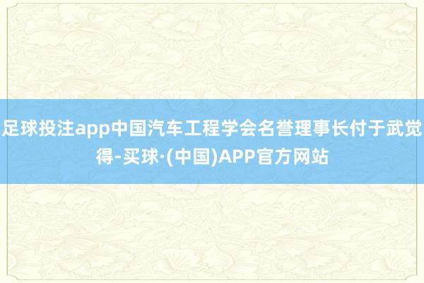 足球投注app中国汽车工程学会名誉理事长付于武觉得-买球·(中国)APP官方网站