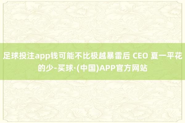 足球投注app钱可能不比极越暴雷后 CEO 夏一平花的少-买球·(中国)APP官方网站
