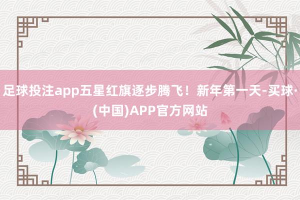 足球投注app五星红旗逐步腾飞！新年第一天-买球·(中国)APP官方网站