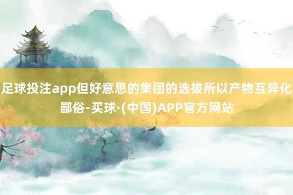 足球投注app但好意思的集团的选拔所以产物互异化鄙俗-买球·(中国)APP官方网站