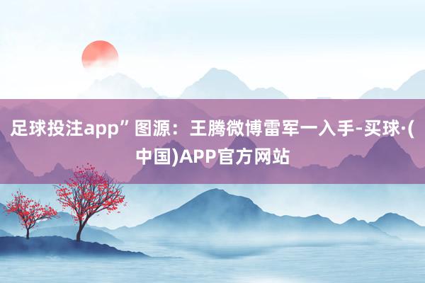 足球投注app”图源：王腾微博雷军一入手-买球·(中国)APP官方网站