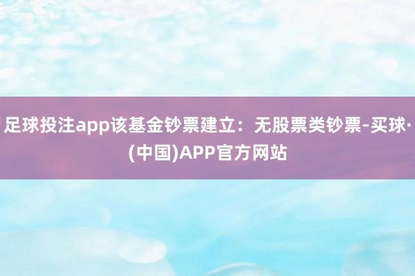 足球投注app该基金钞票建立：无股票类钞票-买球·(中国)APP官方网站