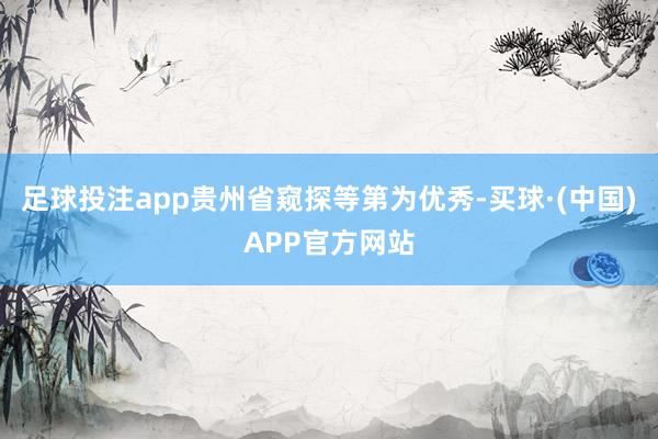 足球投注app贵州省窥探等第为优秀-买球·(中国)APP官方网站