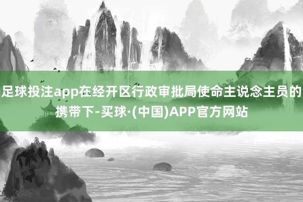 足球投注app在经开区行政审批局使命主说念主员的携带下-买球·(中国)APP官方网站