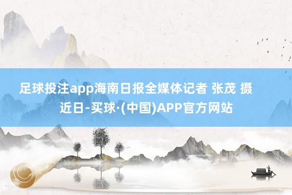 足球投注app海南日报全媒体记者 张茂 摄      　　近日-买球·(中国)APP官方网站