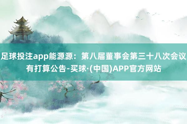 足球投注app能源源：第八届董事会第三十八次会议有打算公告-买球·(中国)APP官方网站