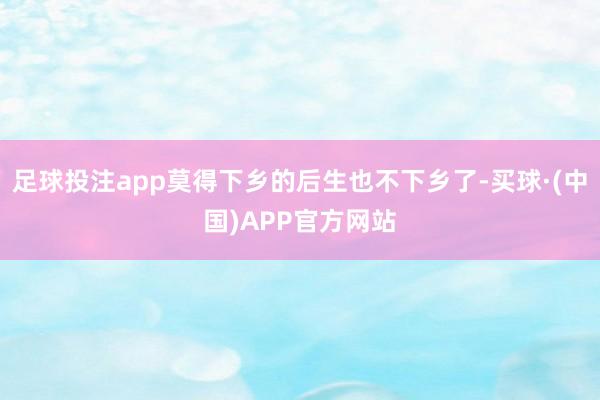 足球投注app莫得下乡的后生也不下乡了-买球·(中国)APP官方网站
