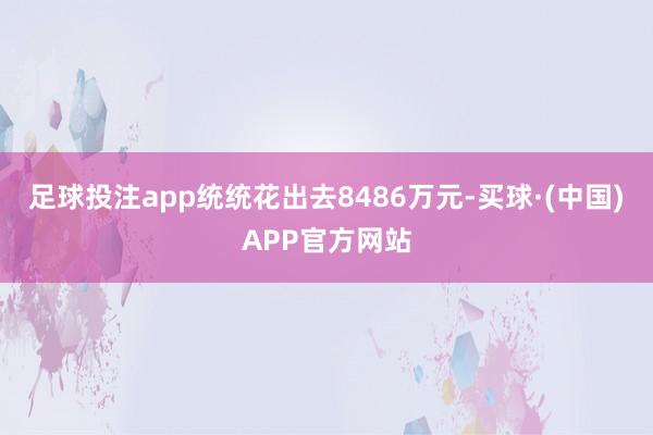 足球投注app统统花出去8486万元-买球·(中国)APP官方网站