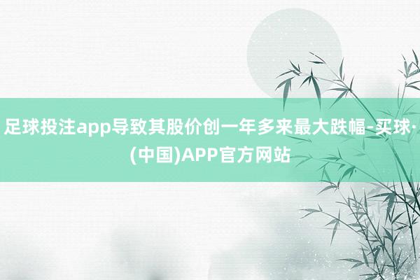 足球投注app导致其股价创一年多来最大跌幅-买球·(中国)APP官方网站