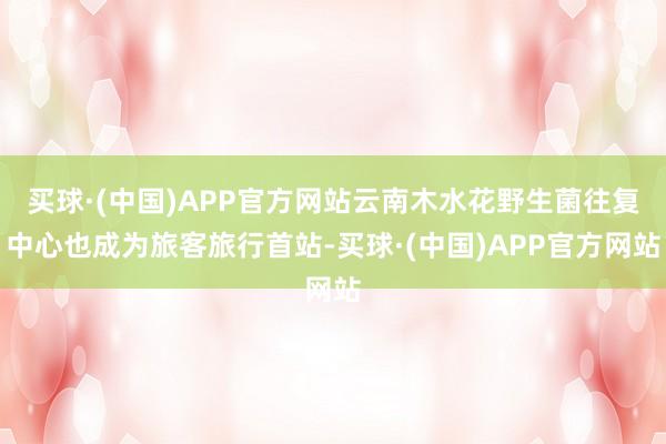 买球·(中国)APP官方网站云南木水花野生菌往复中心也成为旅客旅行首站-买球·(中国)APP官方网站