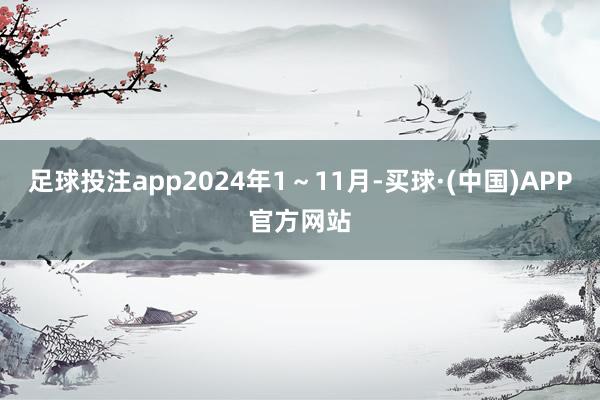 足球投注app2024年1～11月-买球·(中国)APP官方网站