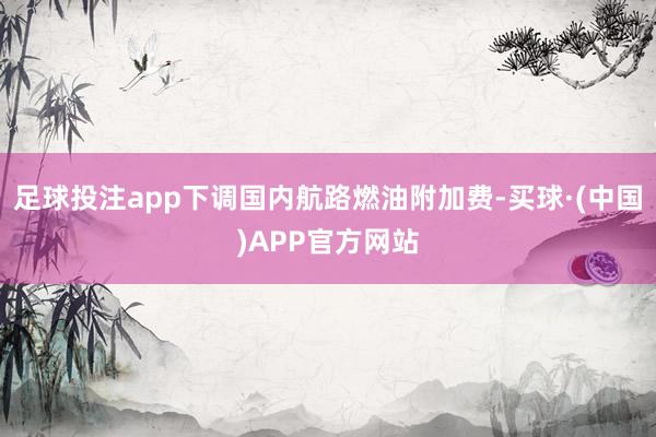 足球投注app下调国内航路燃油附加费-买球·(中国)APP官方网站