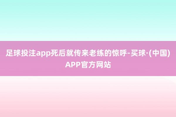 足球投注app死后就传来老练的惊呼-买球·(中国)APP官方网站