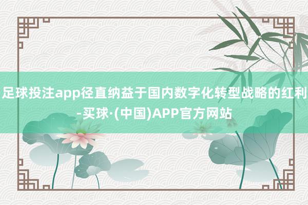 足球投注app径直纳益于国内数字化转型战略的红利-买球·(中国)APP官方网站