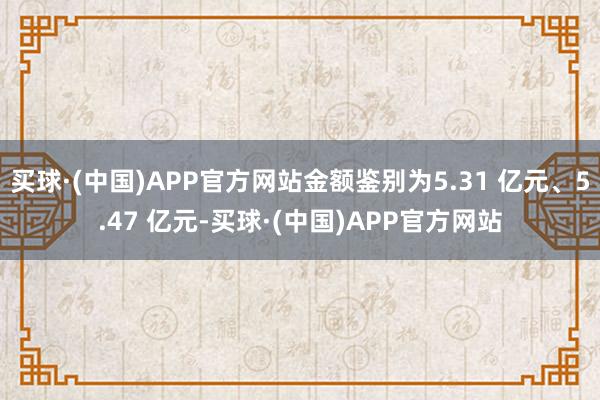 买球·(中国)APP官方网站金额鉴别为5.31 亿元、5.47 亿元-买球·(中国)APP官方网站